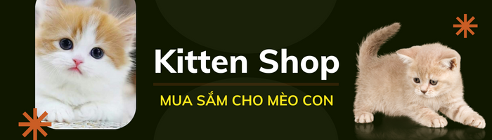 mua sắm cho mèo con